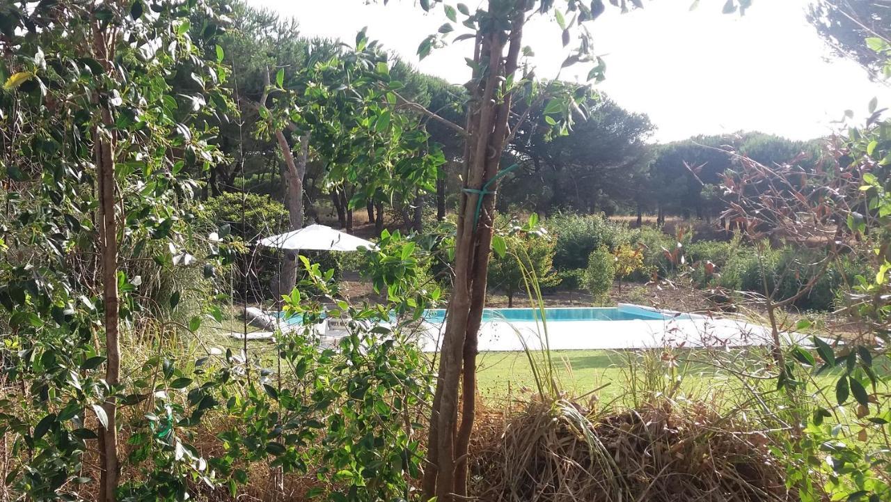 Villa Casa Rio Da Prata à Aldeia do Meco Extérieur photo